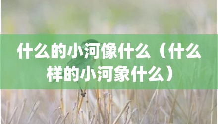 什么的小河像什么（什么样的小河象什么）