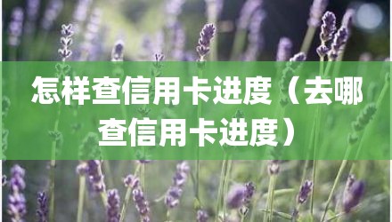 怎样查信用卡进度（去哪查信用卡进度）