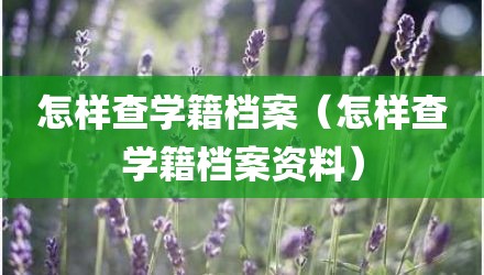 怎样查学籍档案(怎样查学籍档案资料)