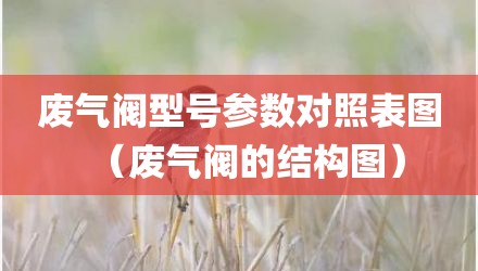 废气阀型号参数对照表图（废气阀的结构图）