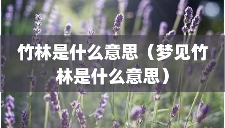 竹林是什么意思（梦见竹林是什么意思）