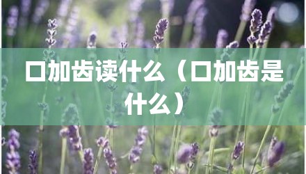 口加齿读什么（口加齿是什么）