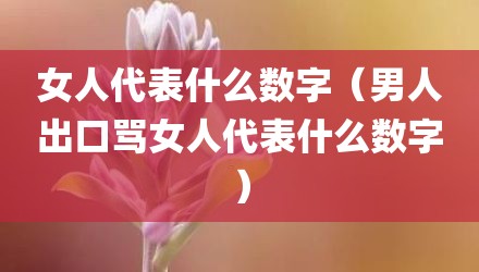 女人代表什么数字（男人出口骂女人代表什么数字）