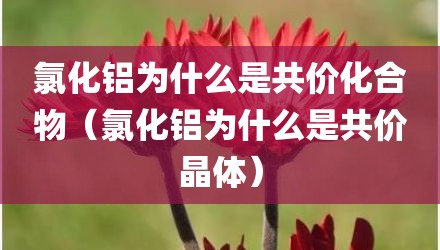 氯化铝为什么是共价化合物（氯化铝为什么是共价晶体）