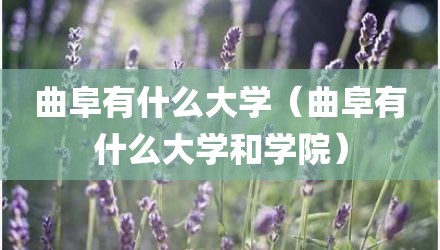 曲阜有什么大学（曲阜有什么大学和学院）
