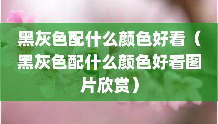 黑灰色配什么颜色好看（黑灰色配什么颜色好看图片欣赏）