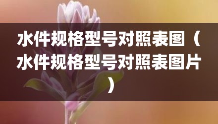 水件规格型号对照表图（水件规格型号对照表图片）