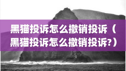 黑猫投诉怎么撤销投诉（黑猫投诉怎么撤销投诉?）