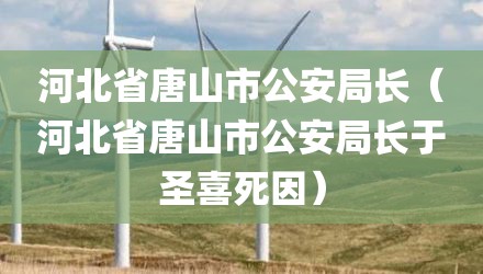 河北省唐山市公安局长（河北省唐山市公安局长于圣喜死因）