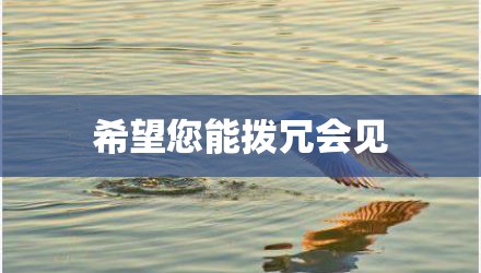 希望您能拨冗会见