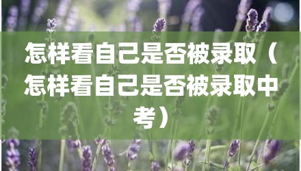怎样看自己是否被录取（怎样看自己是否被录取中考）