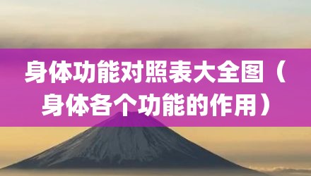 身体功能对照表大全图（身体各个功能的作用）