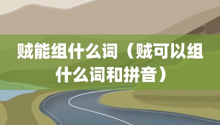贼能组什么词（贼可以组什么词和拼音）