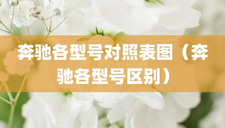 奔驰各型号对照表图（奔驰各型号区别）