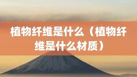 植物纤维是什么(植物纤维是什么材质)