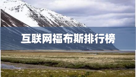 互联网福布斯排行榜