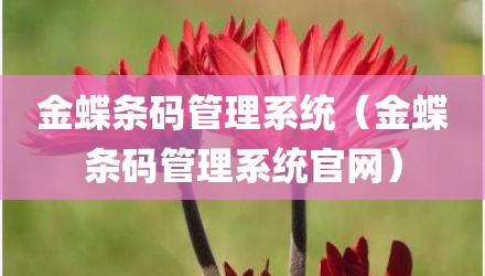 金蝶条码管理系统（金蝶条码管理系统官网）