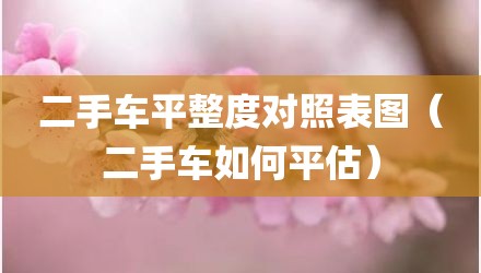 二手车平整度对照表图（二手车如何平估）