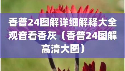 香普24图解详细解释大全观音看香灰（香普24图解高清大图）