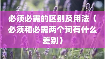 必须必需的区别及用法(必须和必需两个词有什么差别)