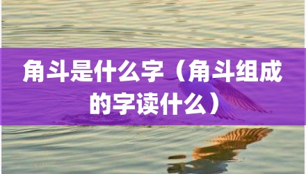 角斗是什么字（角斗组成的字读什么）
