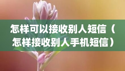 怎样可以接收别人短信（怎样接收别人手机短信）