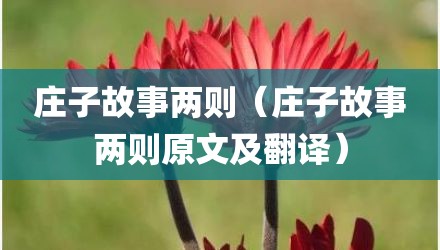 庄子故事两则（庄子故事两则原文及翻译）