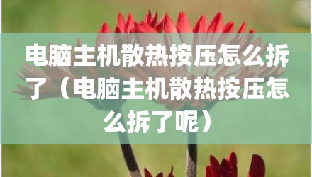 电脑主机散热按压怎么拆了（电脑主机散热按压怎么拆了呢）