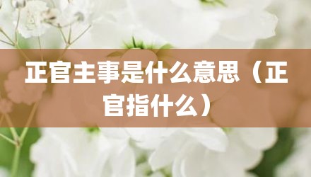 正官主事是什么意思（正官指什么）