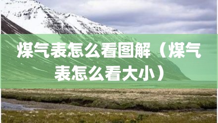 煤气表怎么看图解（煤气表怎么看大小）