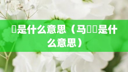 骉是什么意思（马騳骉是什么意思）