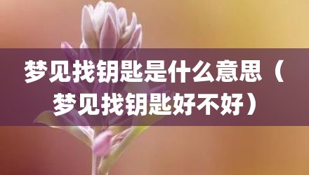 梦见找钥匙是什么意思（梦见找钥匙好不好）