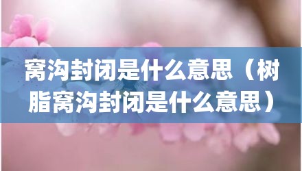 窝沟封闭是什么意思（树脂窝沟封闭是什么意思）