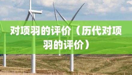 对项羽的评价(历代对项羽的评价)