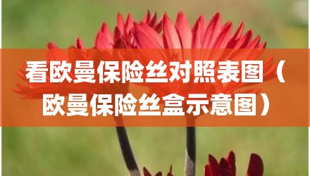 看欧曼保险丝对照表图（欧曼保险丝盒示意图）