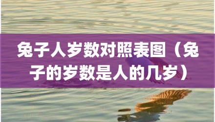 兔子人岁数对照表图（兔子的岁数是人的几岁）
