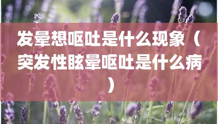 发晕想呕吐是什么现象（突发性眩晕呕吐是什么病）