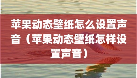 苹果动态壁纸怎么设置声音（苹果动态壁纸怎样设置声音）