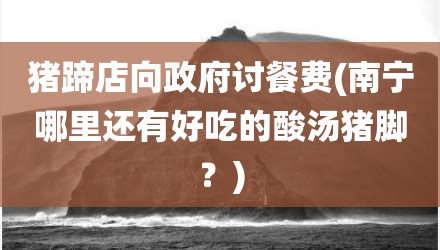 猪蹄店向政府讨餐费(南宁哪里还有好吃的酸汤猪脚？)