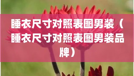 睡衣尺寸对照表图男装（睡衣尺寸对照表图男装品牌）