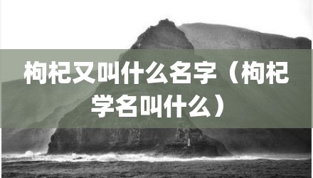 枸杞又叫什么名字（枸杞学名叫什么）