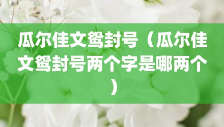 瓜尔佳文鸳封号（瓜尔佳文鸳封号两个字是哪两个）