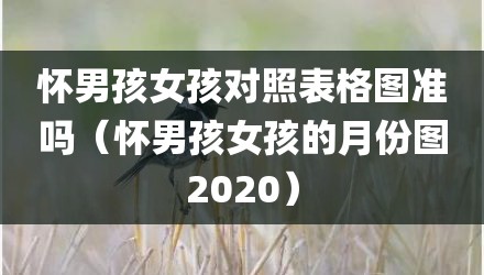 怀男孩女孩对照表格图准吗（怀男孩女孩的月份图2020）