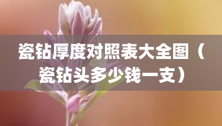瓷钻厚度对照表大全图(瓷钻头多少钱一支)