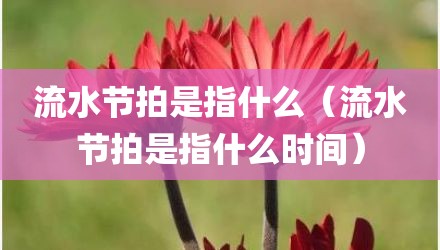 流水节拍是指什么（流水节拍是指什么时间）