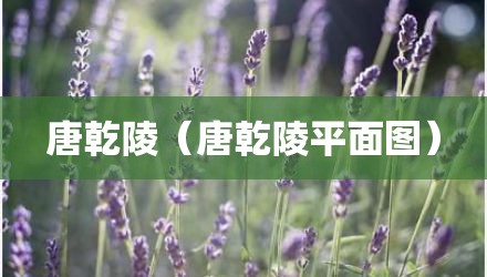 唐乾陵（唐乾陵平面图）