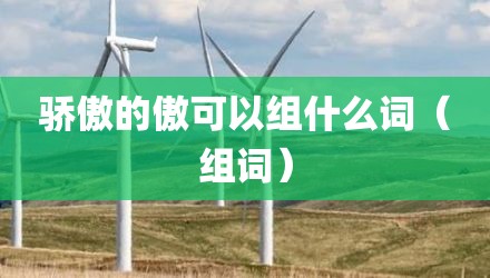 骄傲的傲可以组什么词（组词）