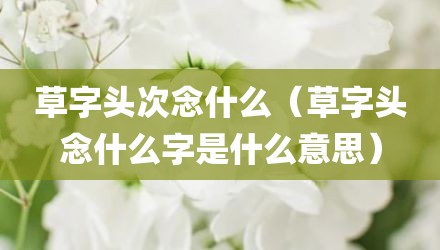 草字头次念什么（草字头念什么字是什么意思）