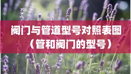 阀门与管道型号对照表图(管和阀门的型号)
