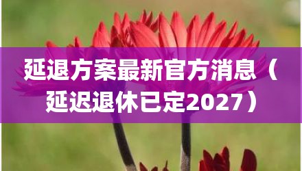 延退方案最新官方消息（延迟退休已定2027）